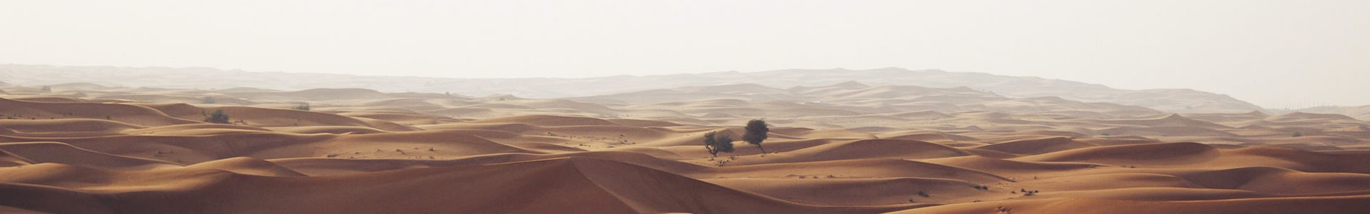 ൺԴƼ޹˾